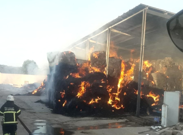 Kocaeli’de Çiftlik Yangını