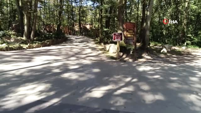 Muğla’da Bulunan İguananın Yeni Evi Kocaeli Oldu