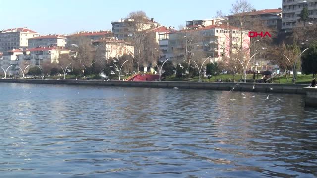 Kocaeli İzmit Körfezi’nde Denizanası İstilası