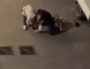 Sultangazi’de Uyuşturucu Operasyonu: Bir Şebeke Çökertildi