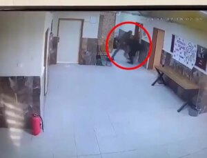 Okulda öğretmenler ortasında hengame: İki öğretmen darbedildi