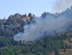 Alanya’da zirai alanda çıkan yangın söndürüldü