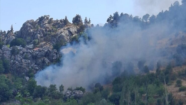 Alanya’da zirai alanda çıkan yangın söndürüldü